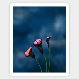 Black Calla Lilies Pink Center Sticker